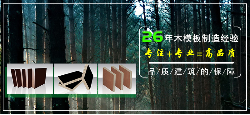 專注 專業(yè) 高品質(zhì) 清水模板 專注 專業(yè) 高品質(zhì) 清水模板