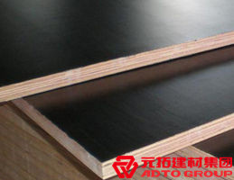 木模板的材料有哪些？各自有什么特點(diǎn)？