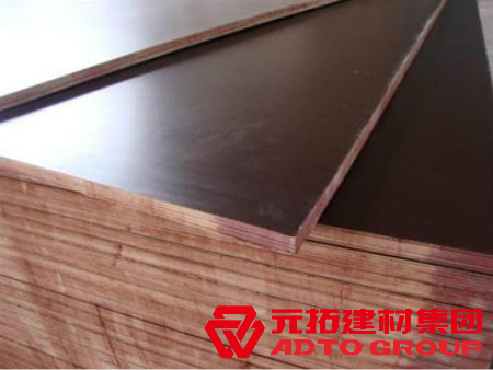  河北木模板如何選購？建筑木模板選購注意哪些方面？